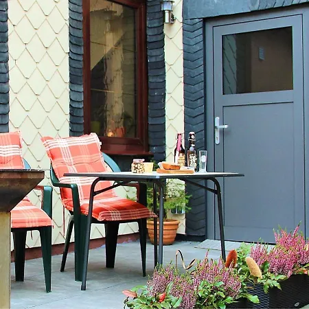 Barrier-free, Modern With Terrace At The Foot Of Hallenburg Castle Apartment *