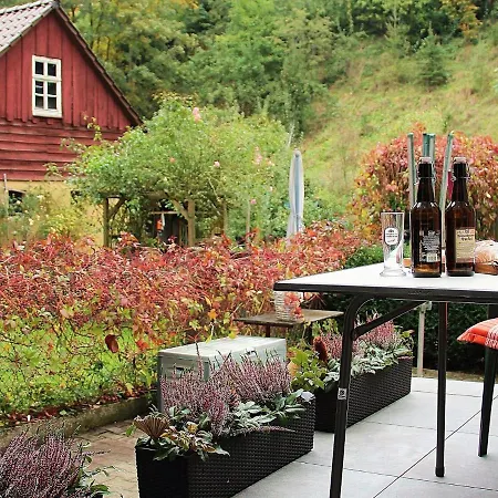Barrier-free, Modern With Terrace At The Foot Of Hallenburg Castle * Kurort Steinbach-Hallenberg